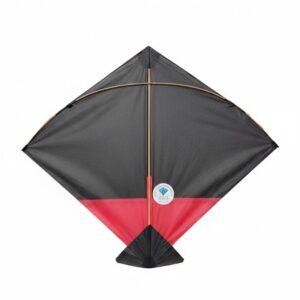 Paper Kite Cheel Kites ||ADDHI || Paper Kite || Kites for Flying in Sky || patang Large Size || (Multicolour) (Pack of 20) (Copy) - Image 2