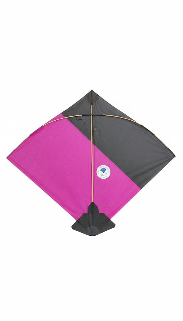 Paper Kite Cheel Kites ||ADDHI || Paper Kite || Kites for Flying in Sky || patang Large Size || (Multicolour) (Pack of 100)+complementry Free Tape (Copy) (Copy) (Copy) (Copy) (Copy) (Copy) (Copy)