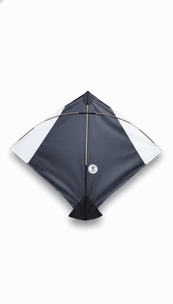 Paper Kite Cheel Kites ||ADDHI || Paper Kite || Kites for Flying in Sky || patang Large Size || (Multicolour) (Pack of 20) (Copy) (Copy) (Copy) (Copy)