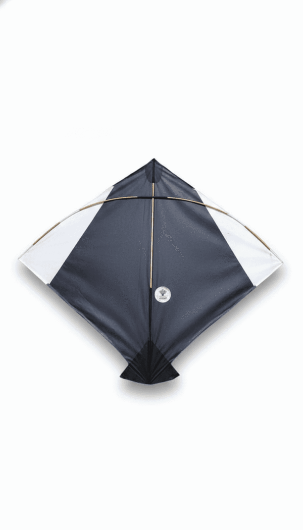 Paper Kite Cheel Kites ||ADDHI || Paper Kite || Kites for Flying in Sky || patang Large Size || (Multicolour) (Pack of 20) (Copy) (Copy) (Copy) (Copy)