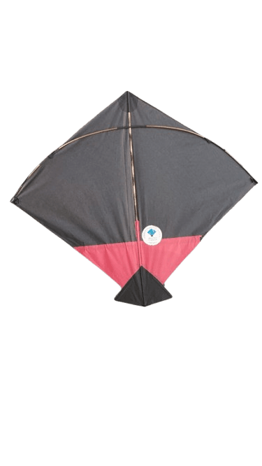 Paper Kite Cheel Kites ||ADDHI || Paper Kite || Kites for Flying in Sky || patang Large Size || (Multicolour) (Pack of 20) (Copy)