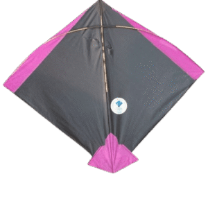 Paper Kite Cheel Kites ||ADDHI || Paper Kite || Kites for Flying in Sky || patang Large Size || (Multicolour) (Pack of 20) (Copy) - Image 7