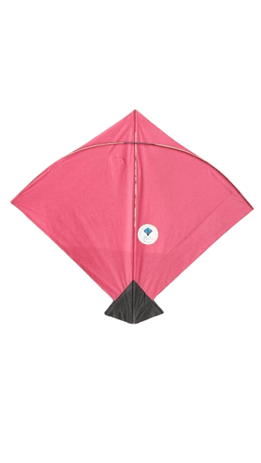 Paper Kite Cheel Kites ||ADDHI || Paper Kite || Kites for Flying in Sky || patang Large Size || (Multicolour) (Pack of 20) (Copy)