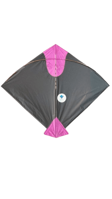 Paper Kite Cheel Kites ||ADDHI || Paper Kite || Kites for Flying in Sky || patang Large Size || (Multicolour) (Pack of 20) (Copy)