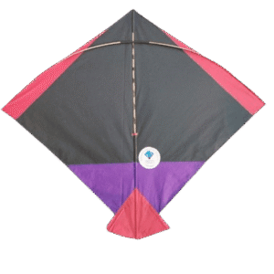 Paper Kite Cheel Kites ||ADDHI || Paper Kite || Kites for Flying in Sky || patang Large Size || (Multicolour) (Pack of 20) (Copy) - Image 11