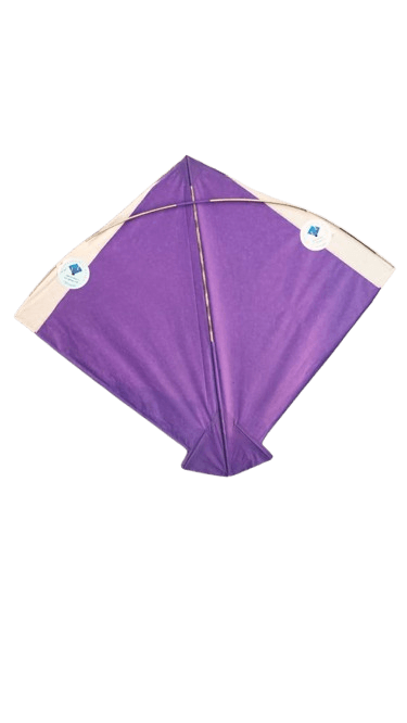 Paper Kite Cheel Kites ||ADDHI || Paper Kite || Kites for Flying in Sky || patang Large Size || (Multicolour) (Pack of 20) (Copy)