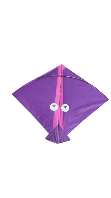 Paper Kite Cheel Kites ||ADDHI || Paper Kite || Kites for Flying in Sky || patang Large Size || (Multicolour) (Pack of 20) (Copy)