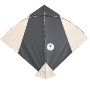 Paper Kite Cheel Kites ||ADDHI || Paper Kite || Kites for Flying in Sky || patang Large Size || (Multicolour) (Pack of 20) (Copy) - Image 16