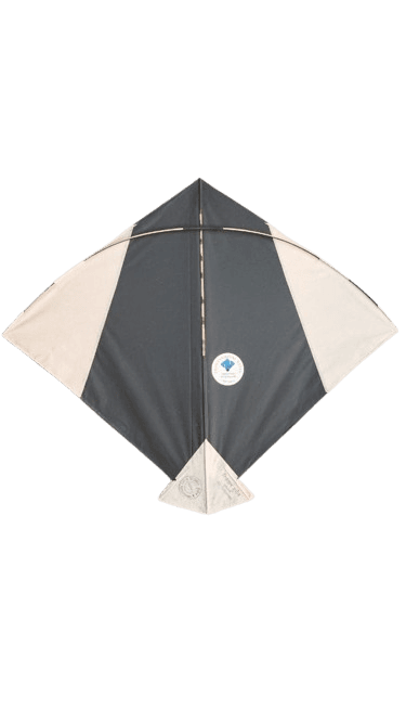 Paper Kite Cheel Kites ||ADDHI || Paper Kite || Kites for Flying in Sky || patang Large Size || (Multicolour) (Pack of 20) (Copy)