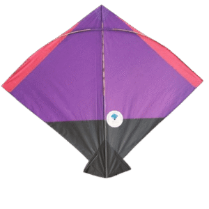Paper Kite Cheel Kites ||ADDHI || Paper Kite || Kites for Flying in Sky || patang Large Size || (Multicolour) (Pack of 20) (Copy) - Image 17