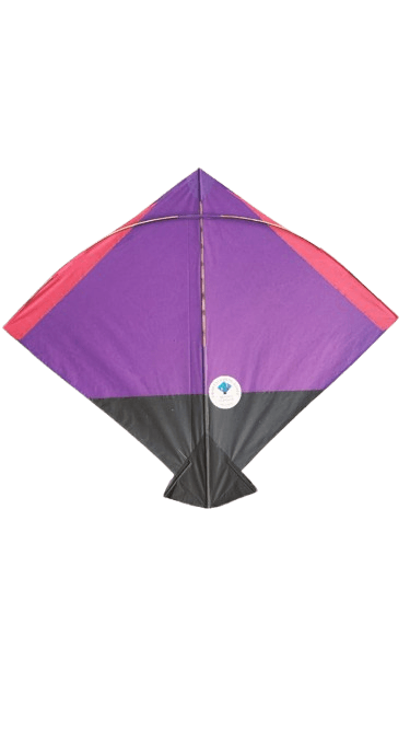 Paper Kite Cheel Kites ||ADDHI || Paper Kite || Kites for Flying in Sky || patang Large Size || (Multicolour) (Pack of 20) (Copy)