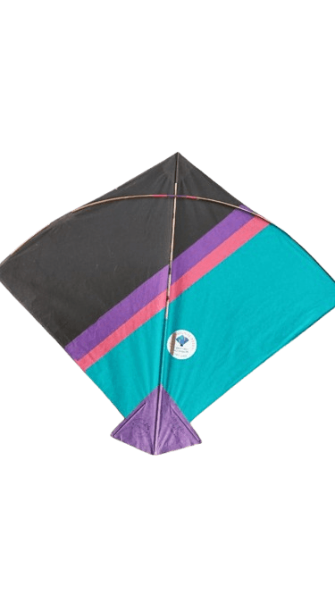 Paper Kite Cheel Kites ||ADDHI || Paper Kite || Kites for Flying in Sky || patang Large Size || (Multicolour) (Pack of 100)+complementry Free Tape (Copy) (Copy) (Copy) (Copy) (Copy) (Copy) (Copy)