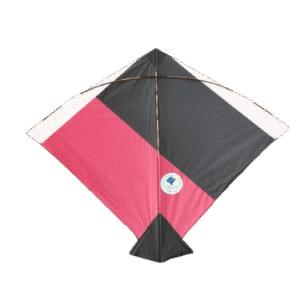 Paper Kite Cheel Kites ||ADDHI || Paper Kite || Kites for Flying in Sky || patang Large Size || (Multicolour) (Pack of 20) (Copy) - Image 19