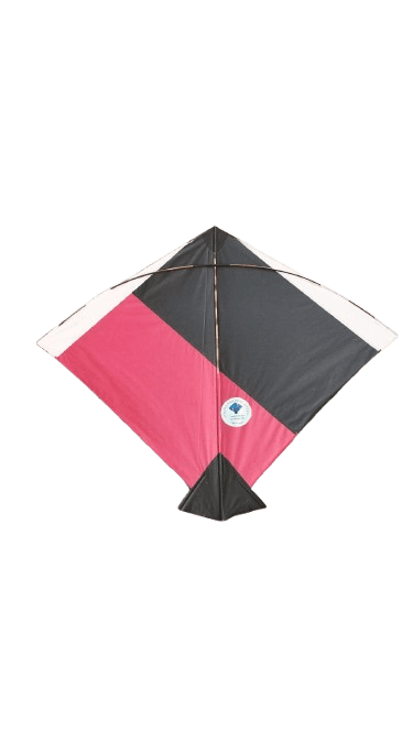Paper Kite Cheel Kites ||ADDHI || Paper Kite || Kites for Flying in Sky || patang Large Size || (Multicolour) (Pack of 20) (Copy)