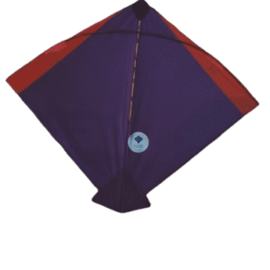 Paper Kite Cheel Kites ||ADDHI || Paper Kite || Kites for Flying in Sky || patang Large Size || (Multicolour) (Pack of 20) (Copy) - Image 20