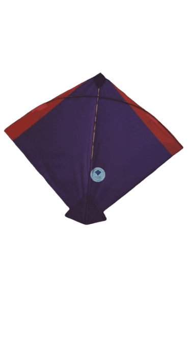 Paper Kite Cheel Kites ||ADDHI || Paper Kite || Kites for Flying in Sky || patang Large Size || (Multicolour) (Pack of 20) (Copy)