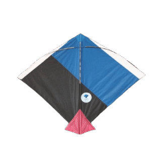 Paper Kite Cheel Kites ||ADDHI || Paper Kite || Kites for Flying in Sky || patang Large Size || (Multicolour) (Pack of 20) (Copy) - Image 21