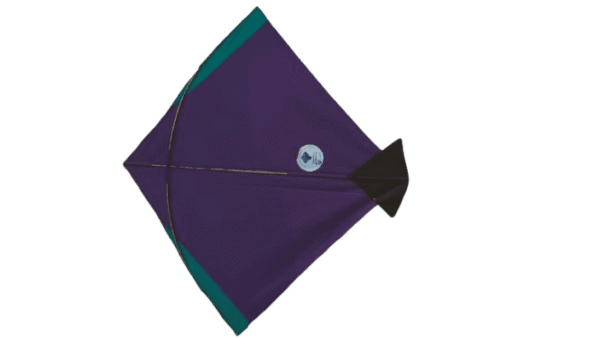 Paper Kite Cheel Kites ||ADDHI || Paper Kite || Kites for Flying in Sky || patang Large Size || (Multicolour) (Pack of 100)+complementry Free Tape (Copy) (Copy) (Copy) (Copy) (Copy) (Copy) (Copy) (Copy)