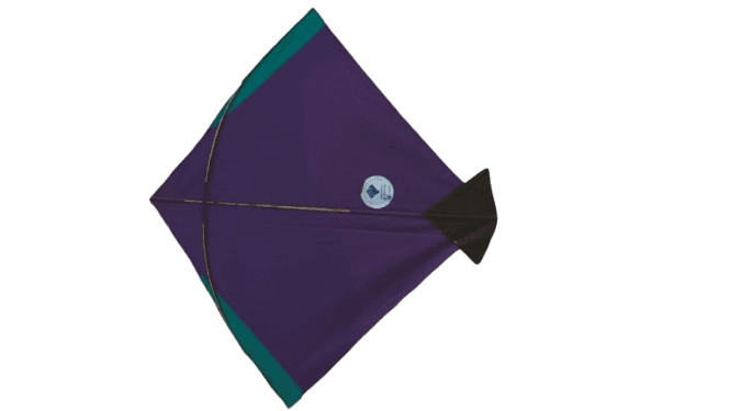 Paper Kite Cheel Kites ||ADDHI || Paper Kite || Kites for Flying in Sky || patang Large Size || (Multicolour) (Pack of 20) (Copy) - Image 22