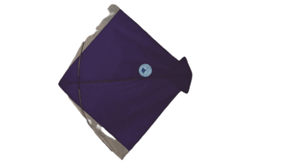 Paper Kite Cheel Kites ||ADDHI || Paper Kite || Kites for Flying in Sky || patang Large Size || (Multicolour) (Pack of 20) (Copy)